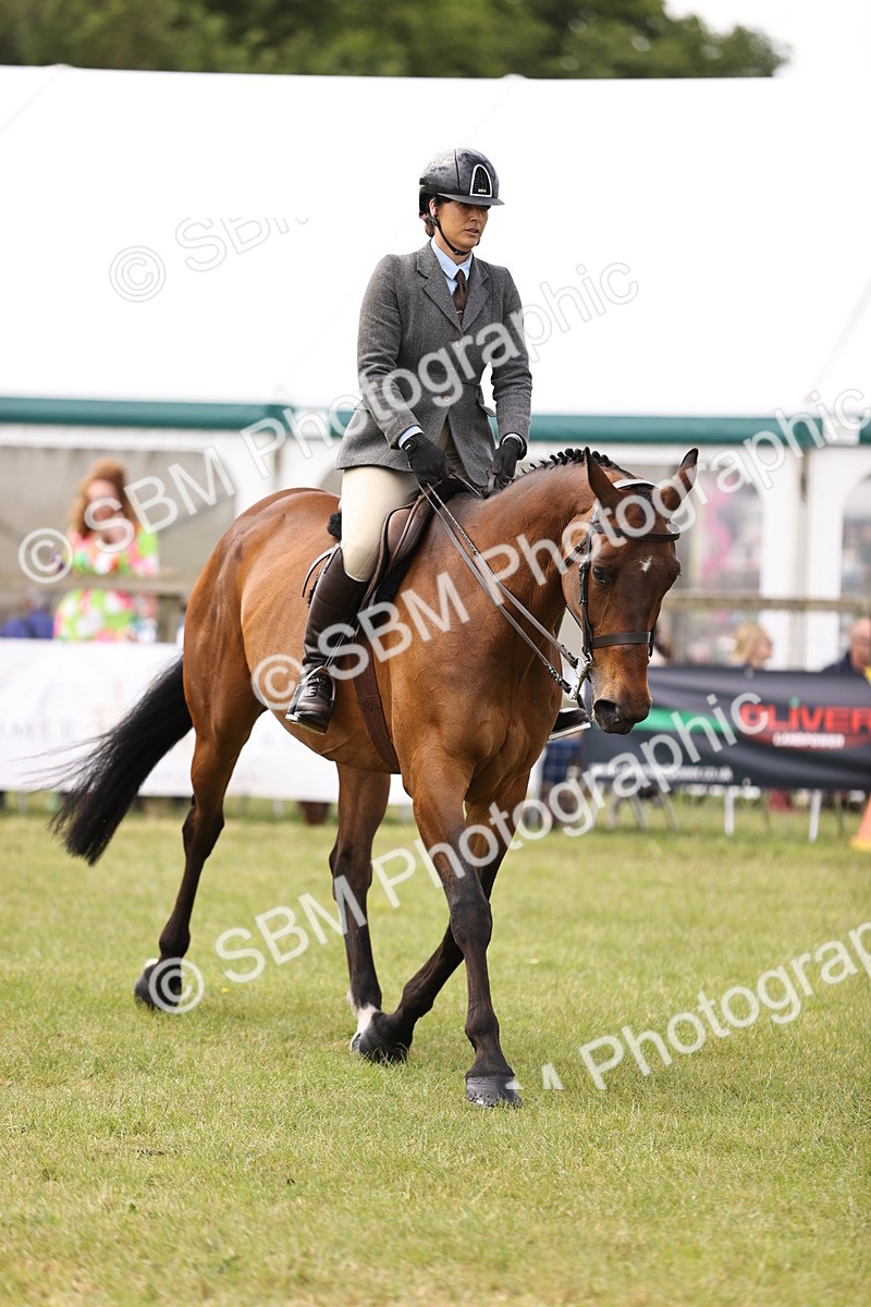 SBM_14684 - Class 88-89 - LIHS BSHA Rising Star of Ridden Hunter Type