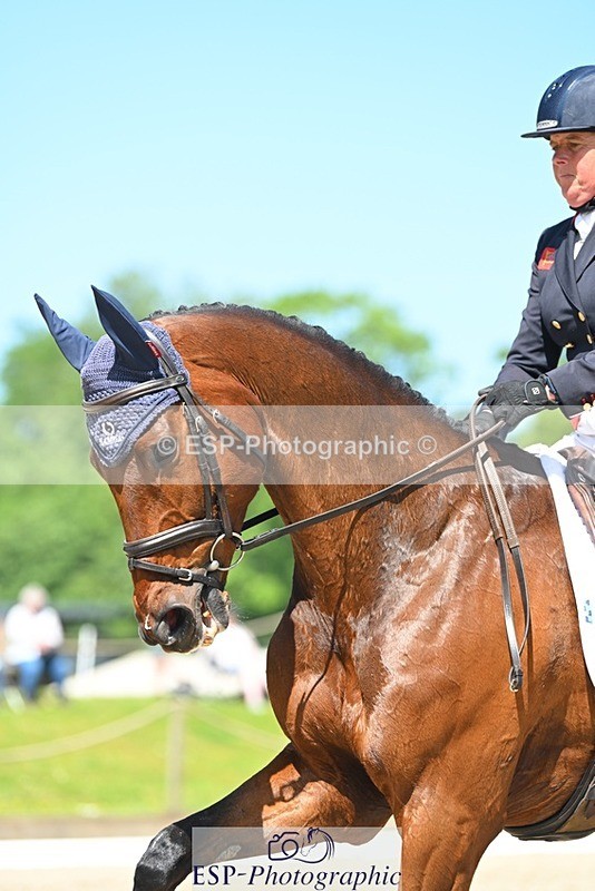 230526-114534-05843 - 470-MCS_MAVERICK-Pippa_Funnell-DR