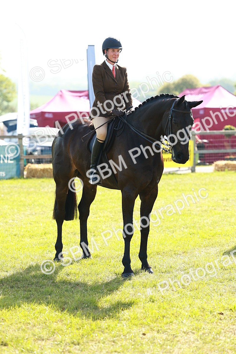 SBM_10951 - Class 66-69 - RIHS Ridden Hunters Inc Small Hunter