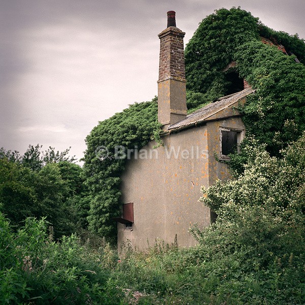 Cottage on The Marshes - Abode's