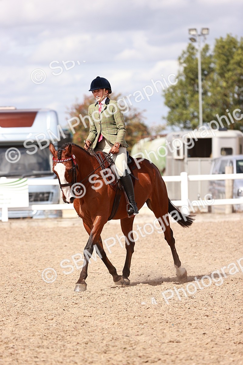SBM_14444 - Class 410 - Grassroots Ridden - Horse