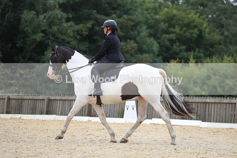 3E7A7355 - Class 9: Elementary 4 2024 - No sections