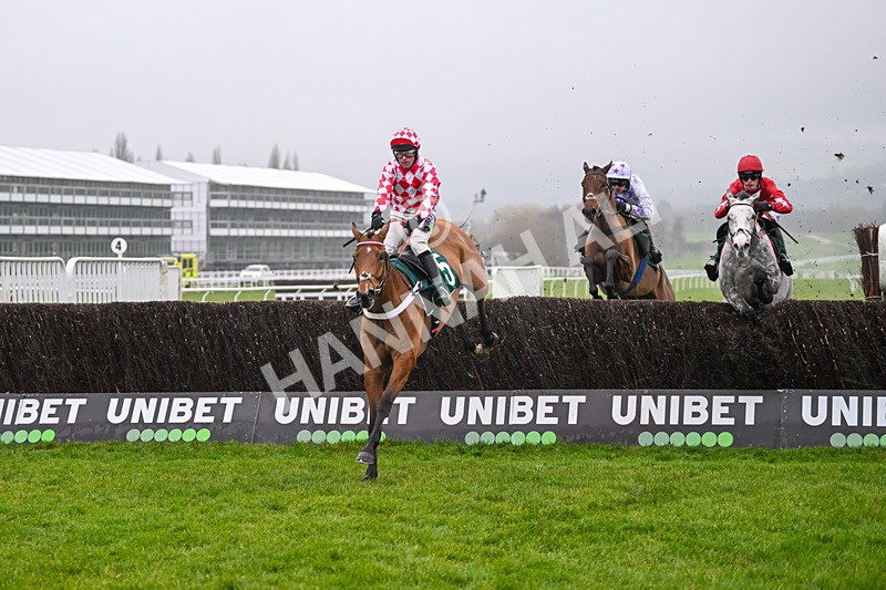 131224-Race 2-Jango Baie-8781 - Race 2