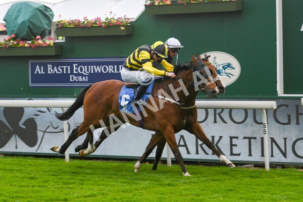 yr10062022r7-14 - Race 7 5.10pm Andy Thornton Hospitality Furniture Stakes