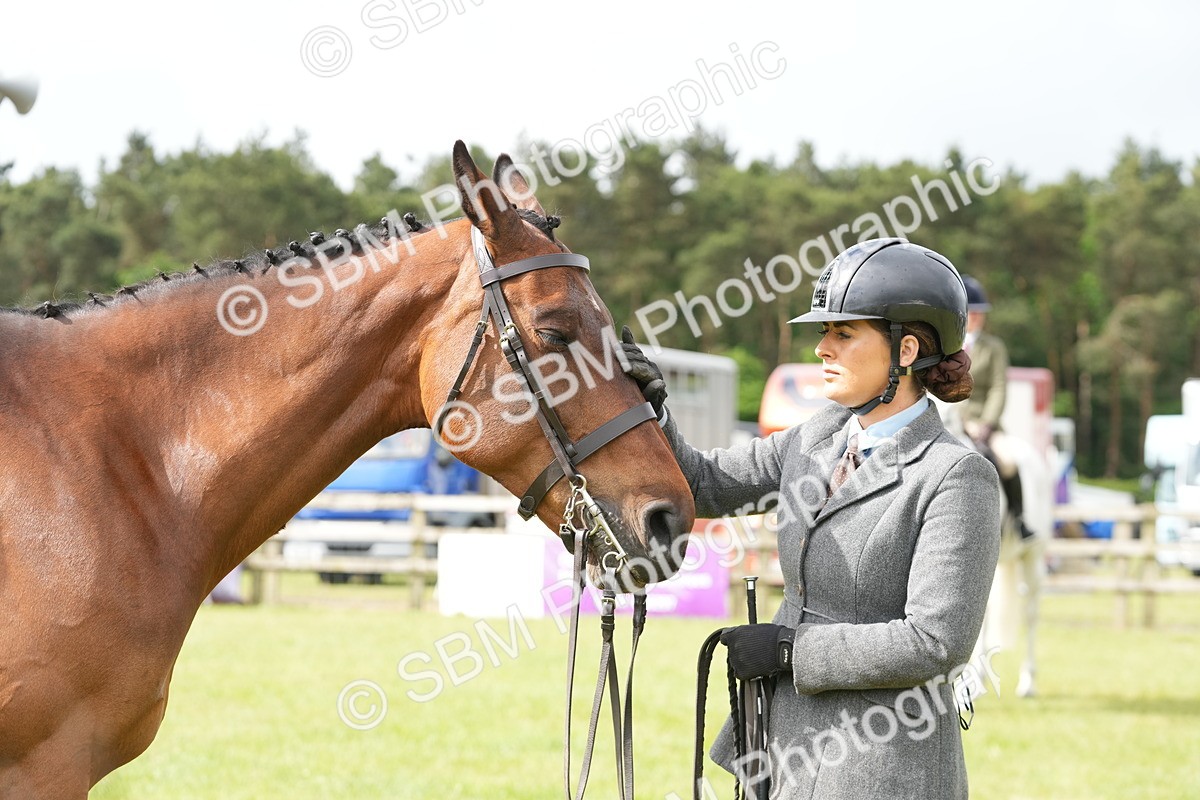 SBM_12773 - Class 97-98 - LIHS BSHA Rising Star Working Show Horse Hunter