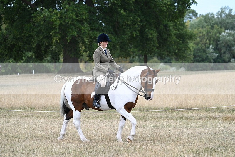 WJ7_4613 - Class 12 Ridden Cob