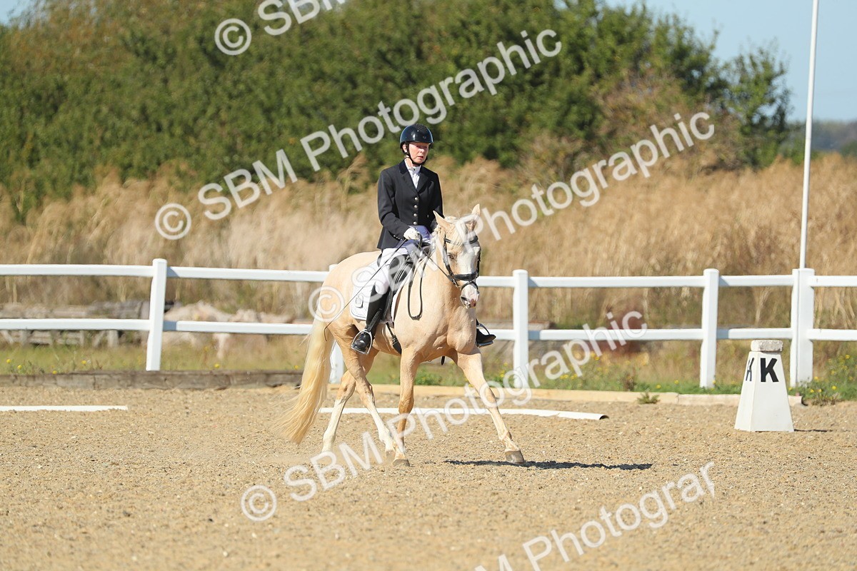 SBM_001558 - Class 7 - E4
