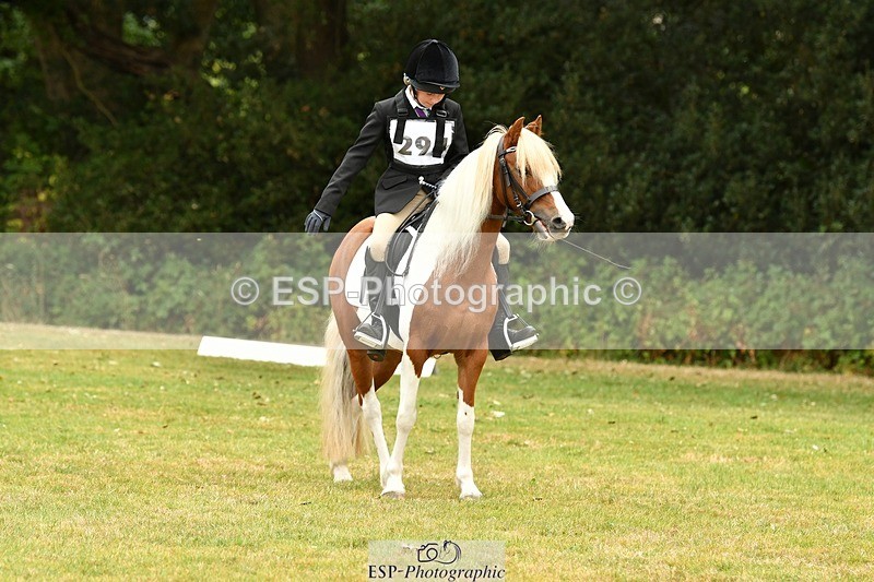 250820A-115018-05325 - 11am to 12