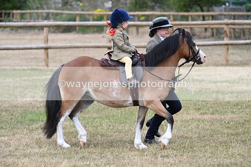 WJ7_9645 - Class 1 Lead Rein Pony
