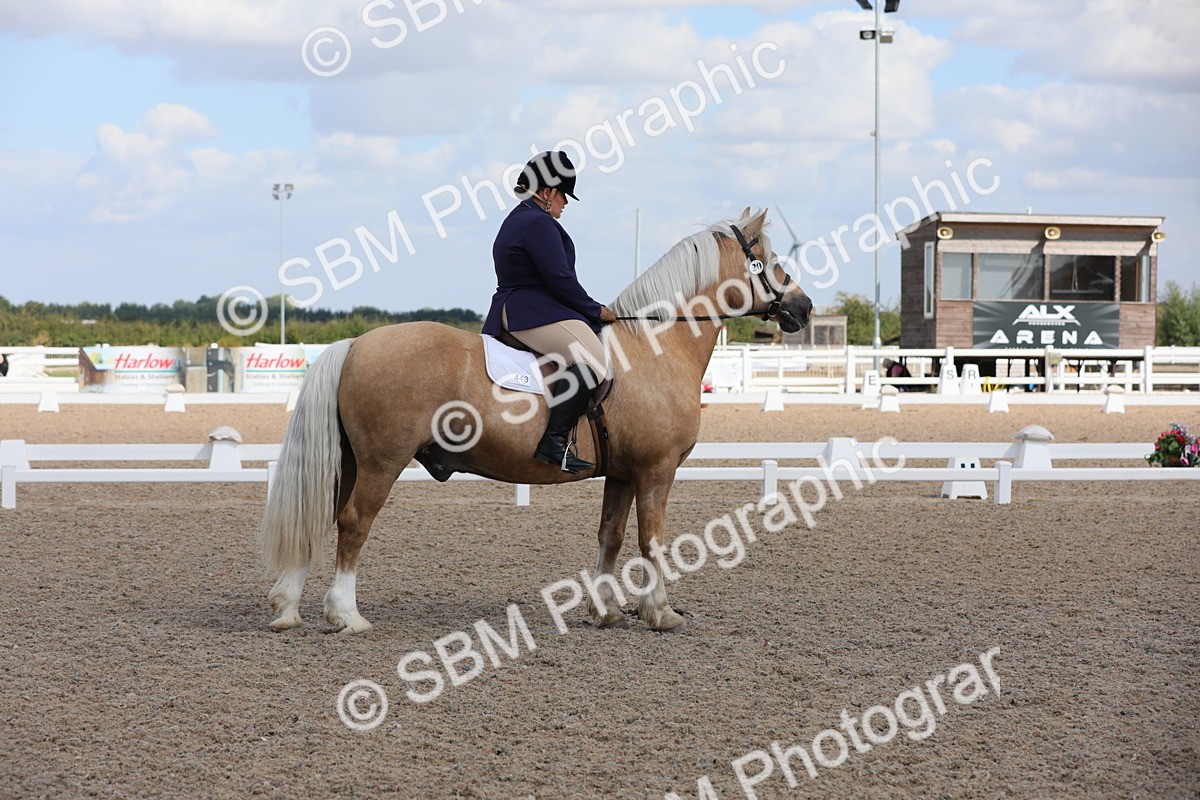 SBM_04043 - Class 31 Prelim 1