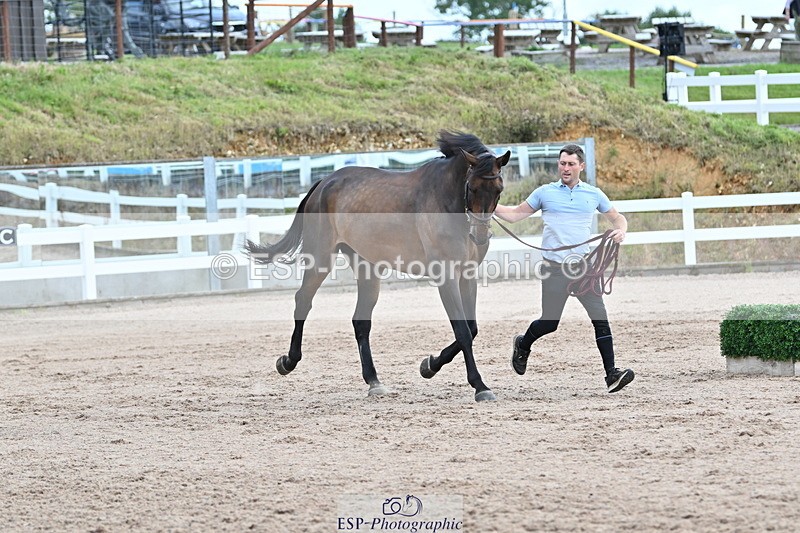 240717A-143241-02118 - Trot Up 2pm to 3pm - This folder is not in time order