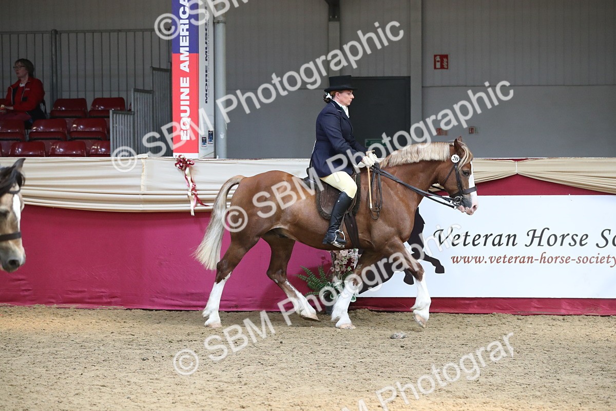 SBM_16291 - Class 502 M&M Ridden Supreme Final