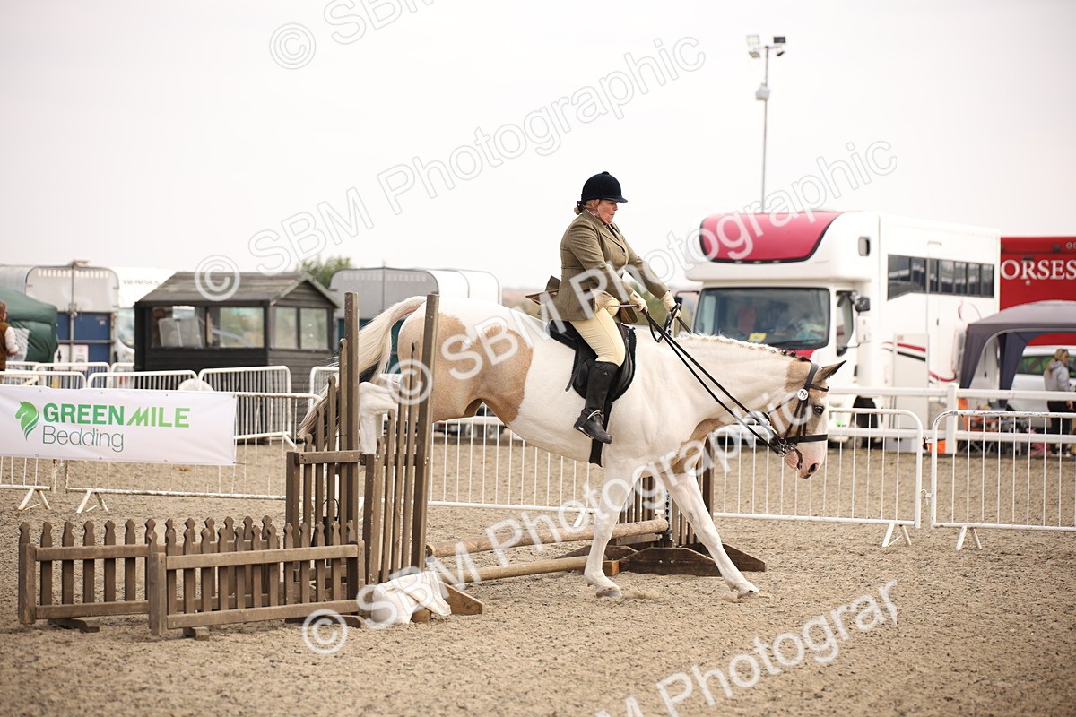 SBM_12916 - Class 406a - Working Veteran 50cm (15-19)