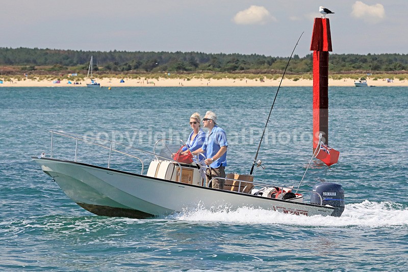 170813 JANIAD - BOSTON WHALER 1Y3A4692 - RIBs, Tenders, Dories, Dinghies