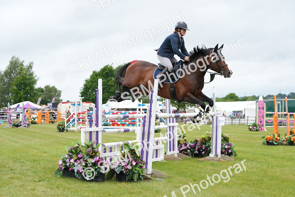 SBM_03330 - Class 201 - British Horse Feeds Speedi Beet Horse of the Year Show Grade  C