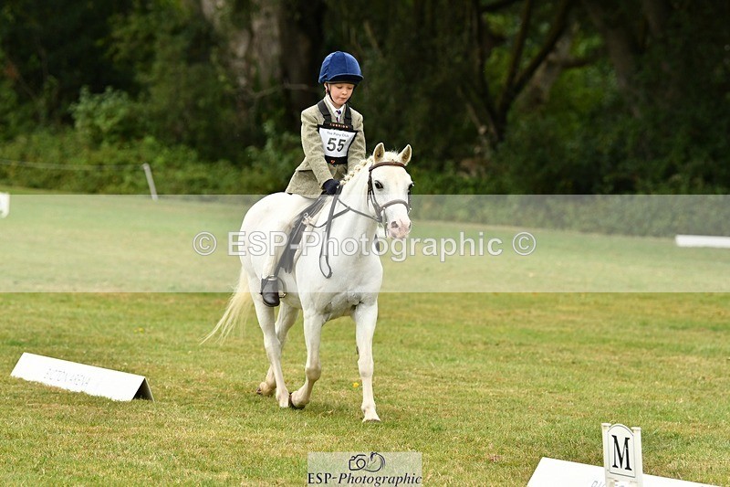 250820A-113653-05168 - 11am to 12