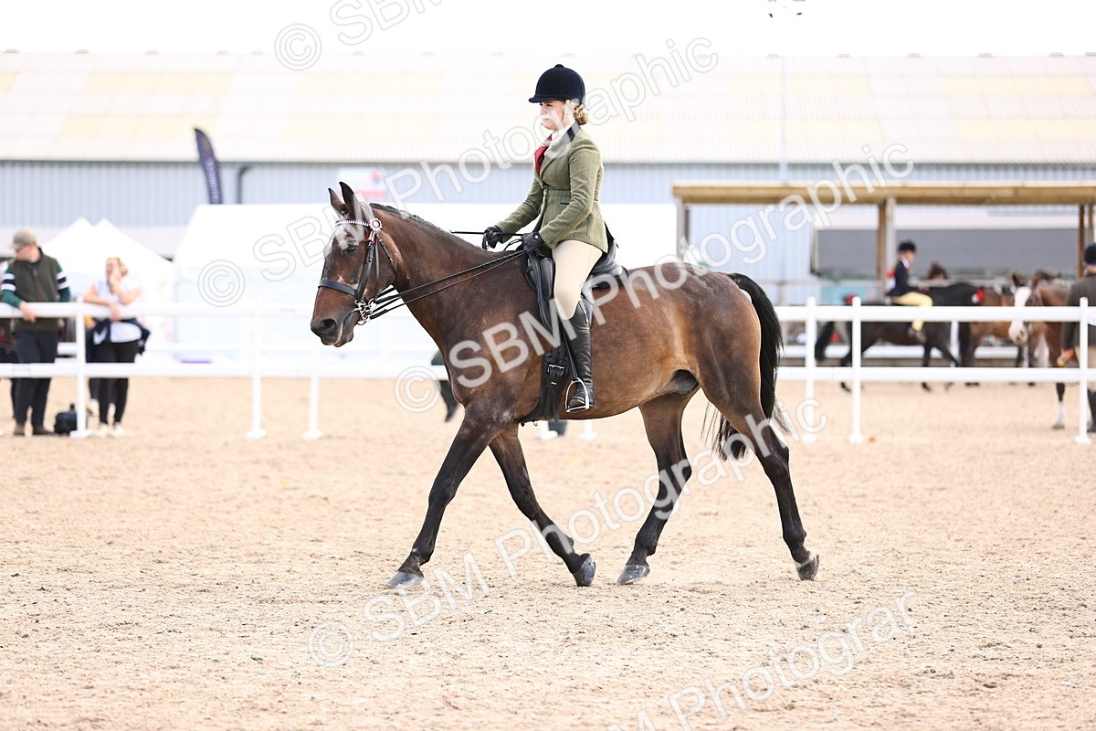 SBM_12964 - Class 410 - Grassroots Ridden - Horse