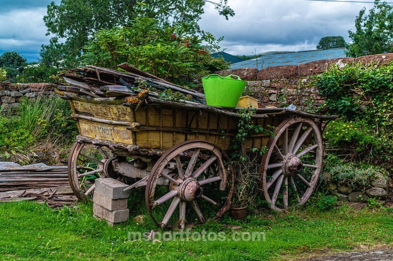 Vintage horse drawn cart in Millburn - Travel, city/land scapes