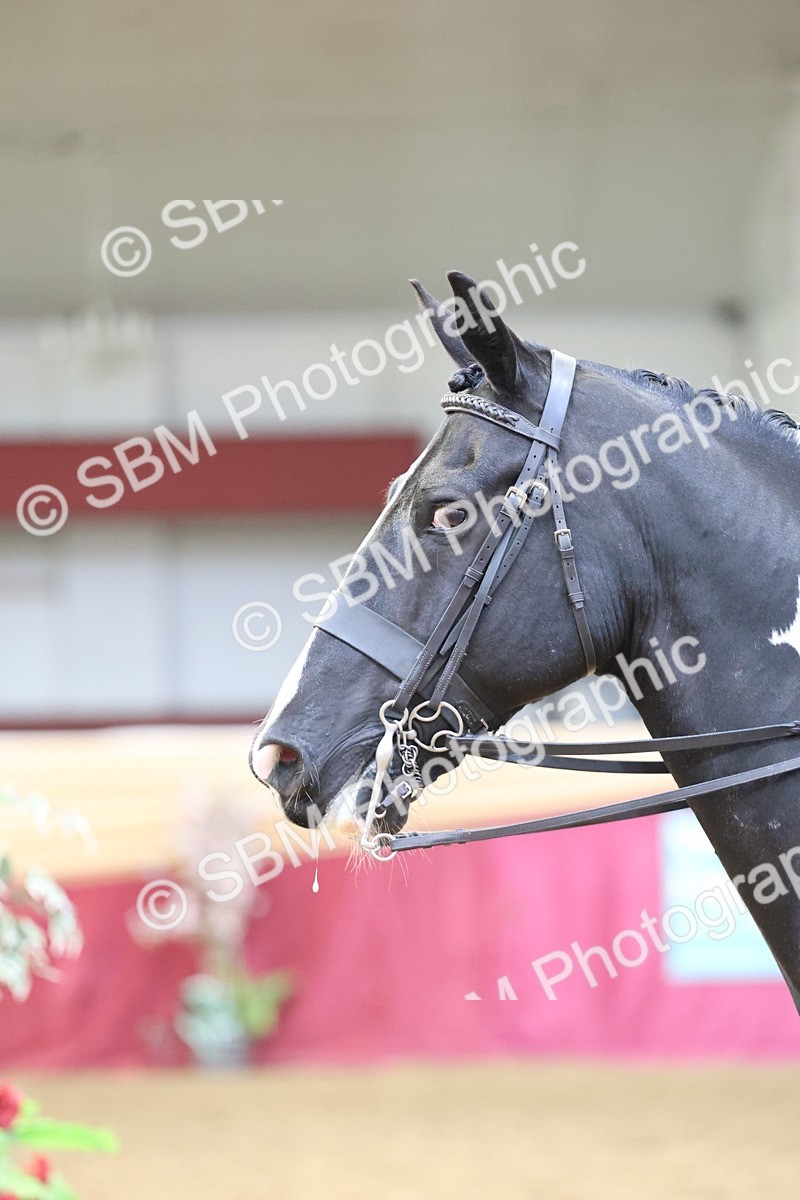 SBM_23656 - class 906 - Supreme Final - Ridden Pre Vet