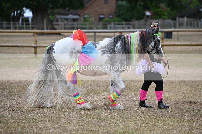 WJ6_8829 - Class 11 Fancy Dress