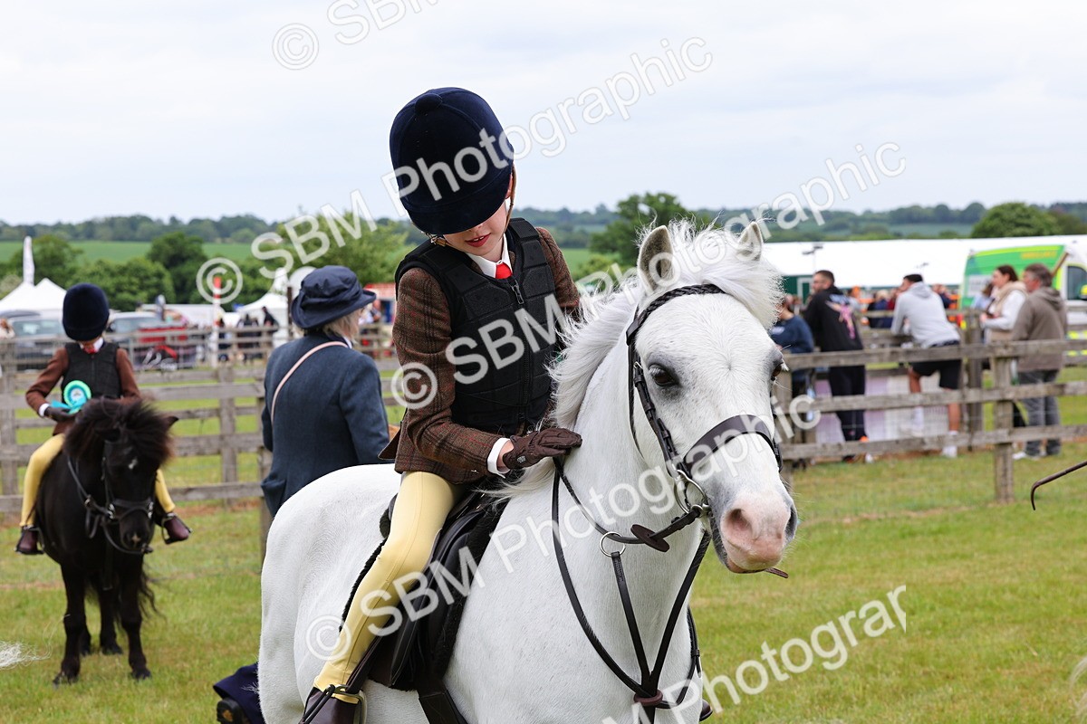 SBM_08871 - Class 42-43 - LIHS BSPS Heritage Working Sports Pony