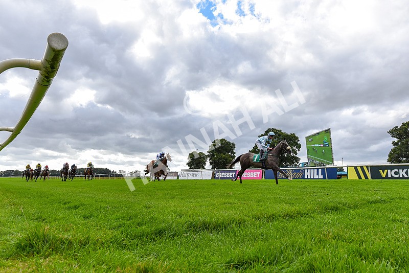 090824-Race 6-Calafrio-3241 - Race 6