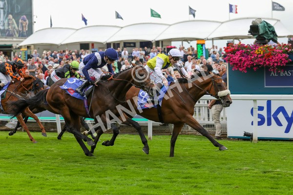 230823-Race 5-Forza Orta-4470 - Race 5 4.10pm Sky Bet Stayers Handicap