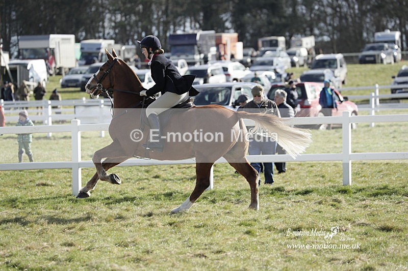 PtP 260223 797 - South & West Wilts Point-to-Point Larkhill 26/02/23