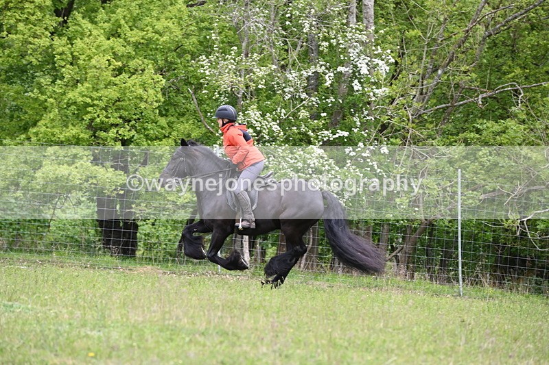 WJ6_1648 - Group 5 A&B Cameras