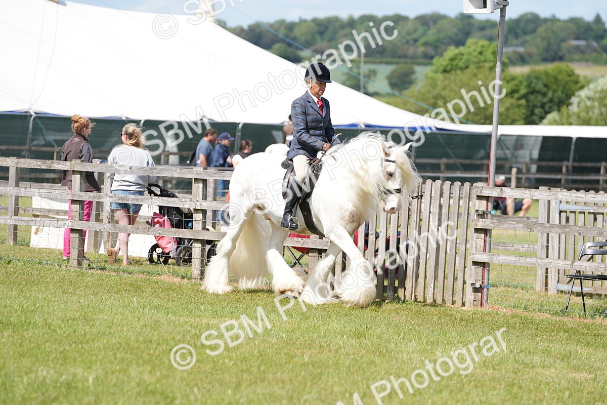 SBM_17096 - Class 107-108 - LIHS BSPS Performance Coloured Horse Pony
