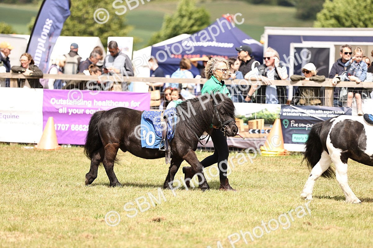 SBM_16399 - Dinky Derby