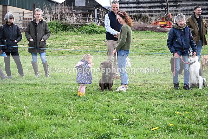 WJ6_8562 - Class 6 Best Rescue