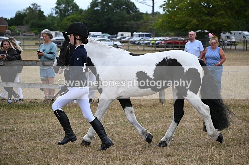 WJ6_8103 - Class 10 Coloured in Hand