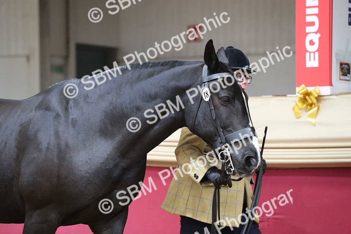 SBM_06211 - Class 9R Regional- IH Pre Vet