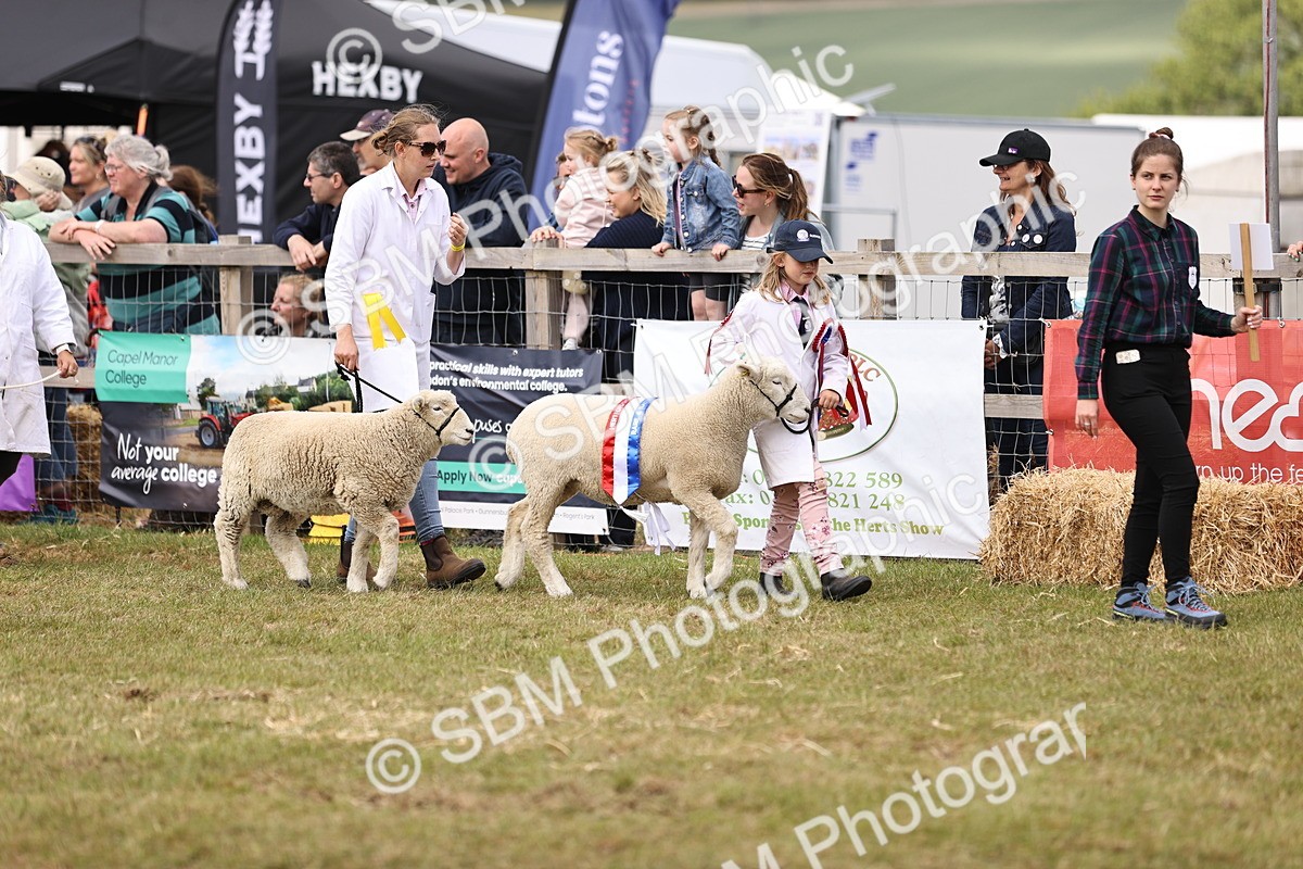 SBM_16837 - Grand Parade