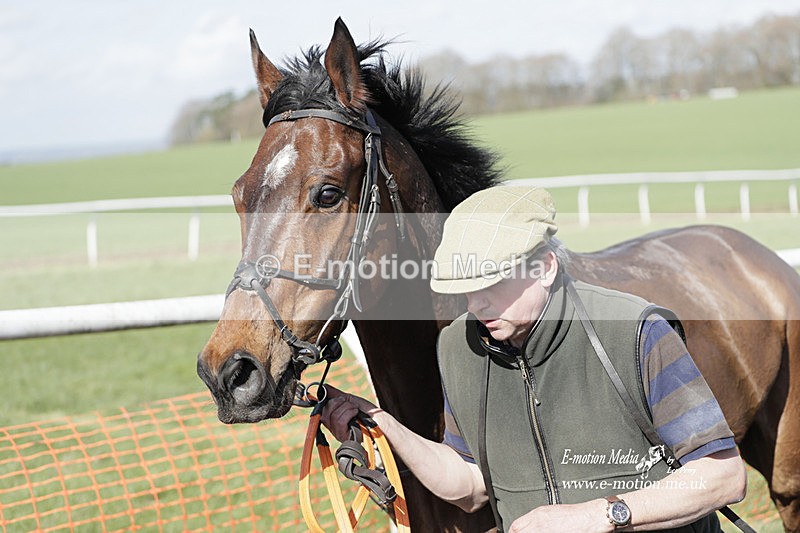 PtP 100423 937 - Old Berkshire Point-to-Point Lockinge 10/04/23