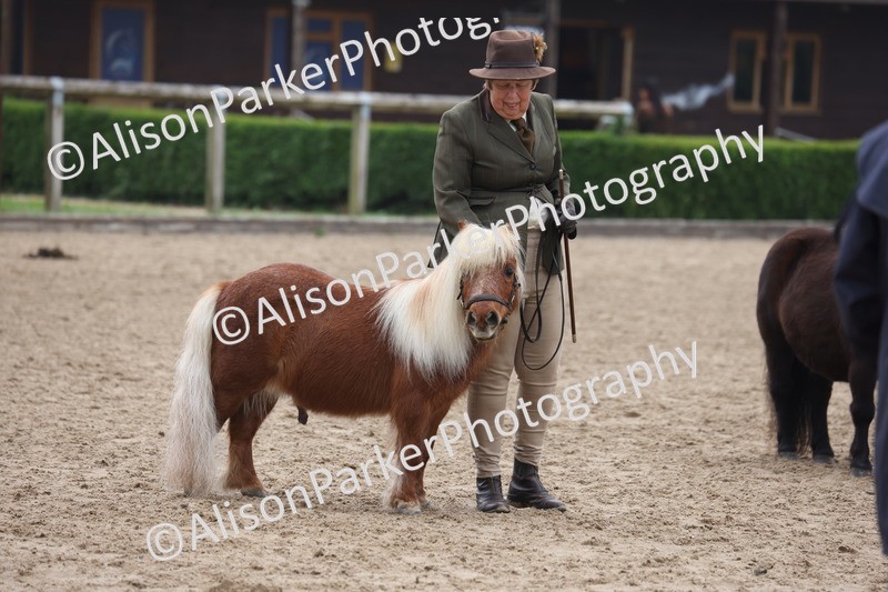 20260504-0530 - Class 4 - Minitures and Shetlands