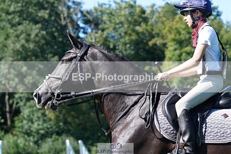 240811A-160050-06152 - 456-