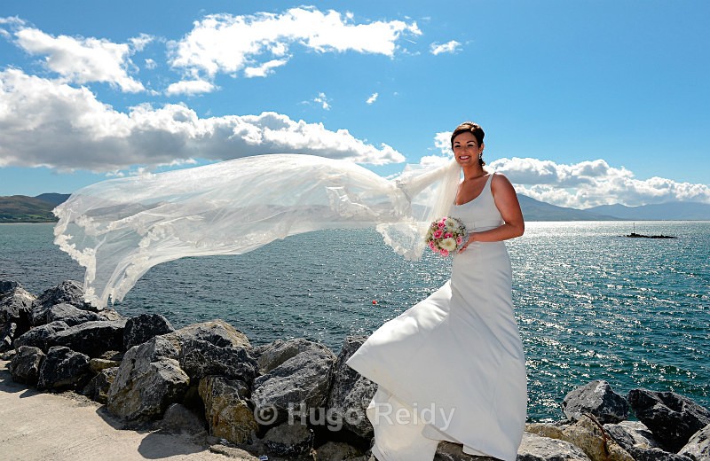  - Wedding Bells
