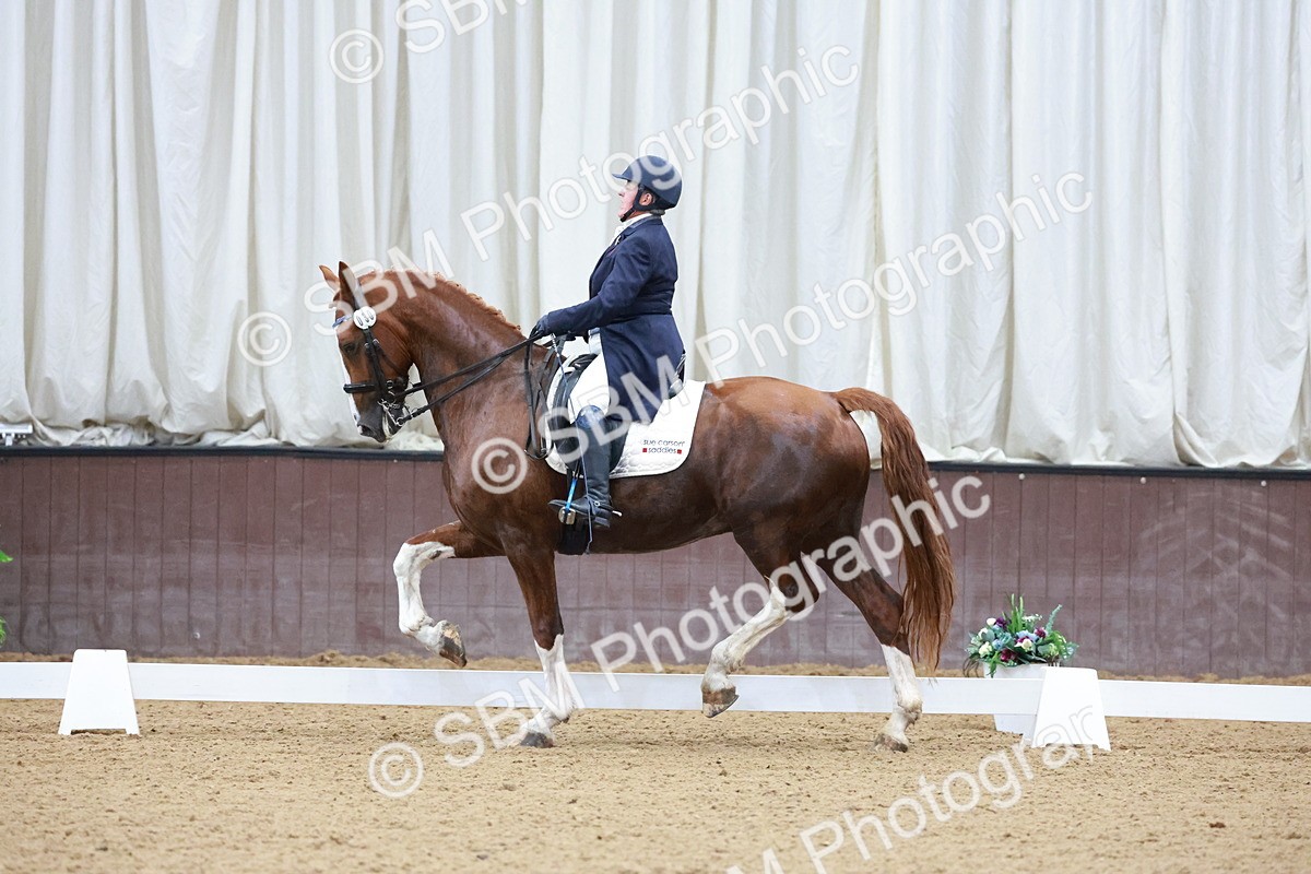 SBM_021247 - Class 14 - FEI Grand Prix - 17.40-18.34