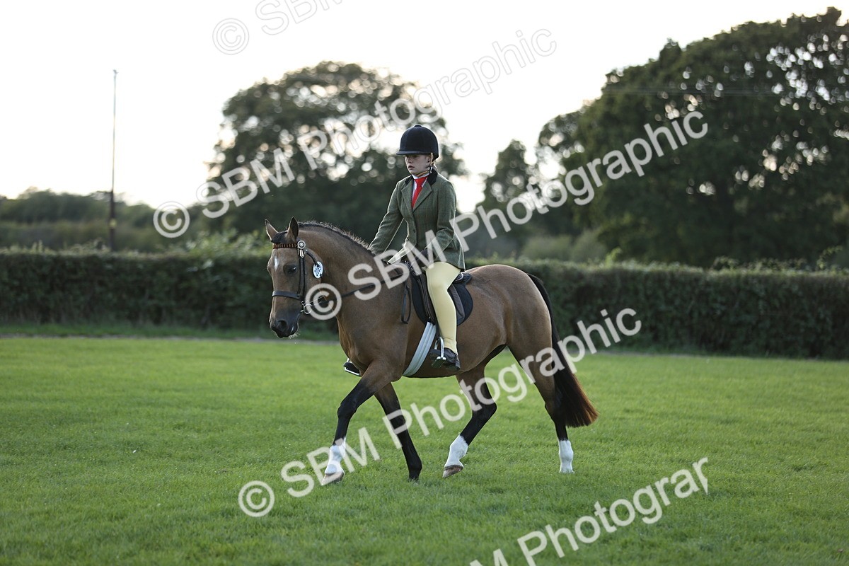 SBM_29555 - S7 - Novice & Newcomers Ridden Pony