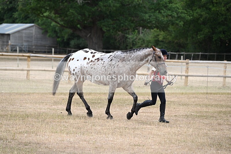 WJ6_8527 - Class 10 Coloured in Hand