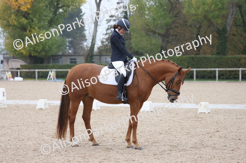 20251012-0671 - Class 5 - Elementary 5