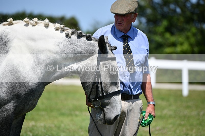 DSC_7558 - Class 63: Coloured Horse Youngstock