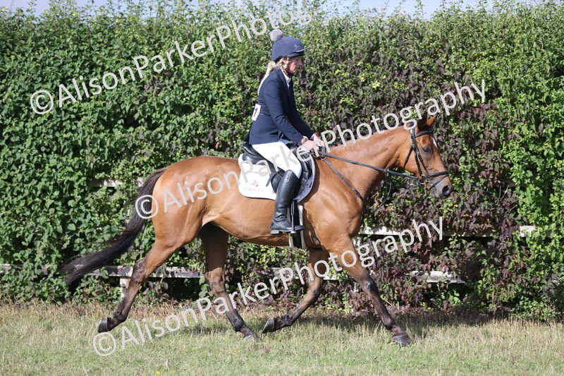 20250831-0885 - Class 14 - Ex Racehorse