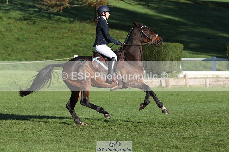 231022-094449-24092 - 670-SEEK.INDI-Maia.Ramasamy-TrotUp+SJ