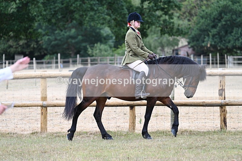WJ7_0661 - Class 6 Ridden Mountain and Moorland