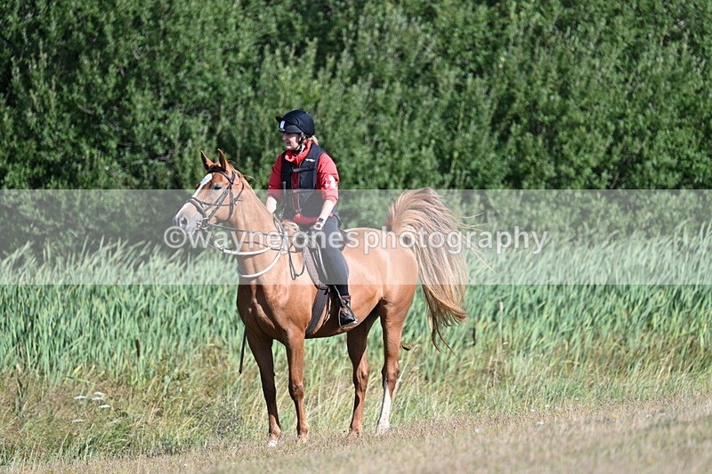 WJ7_3164 - Time 09:42 to 10:02