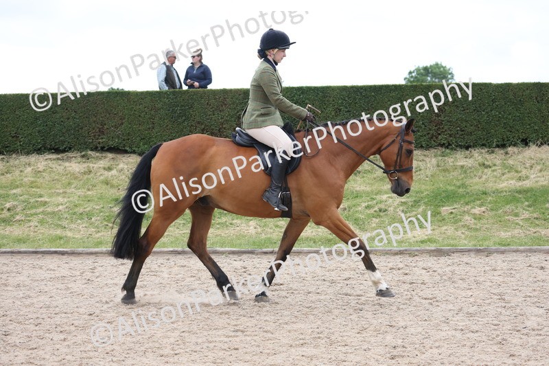 20250524-1350 - Class 16 - Hunter and Cob