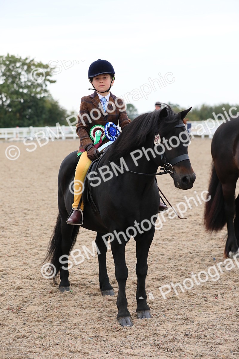 SBM_18245 - Class 316 Best Pony/Rider Combination